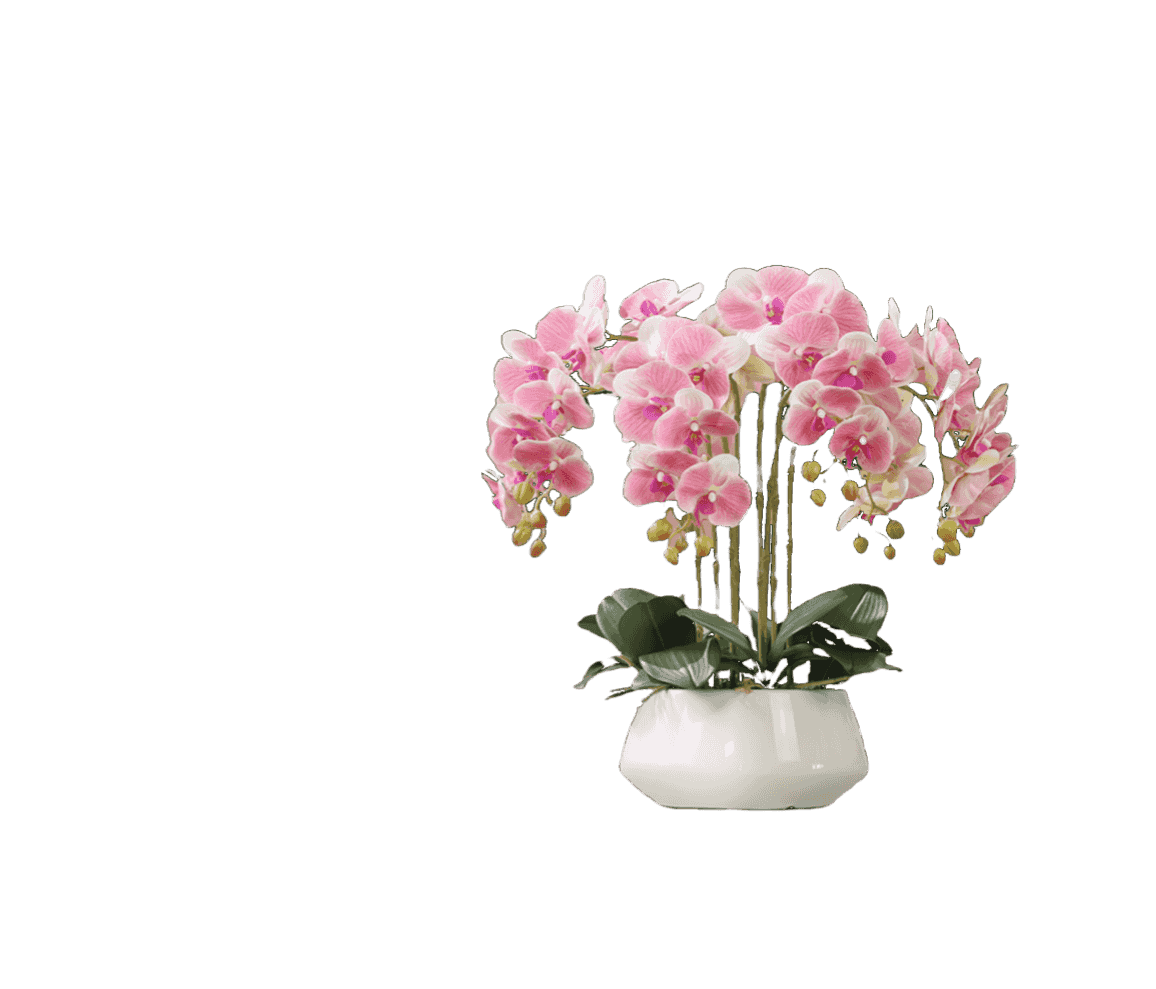 開啟盆栽辦公時代